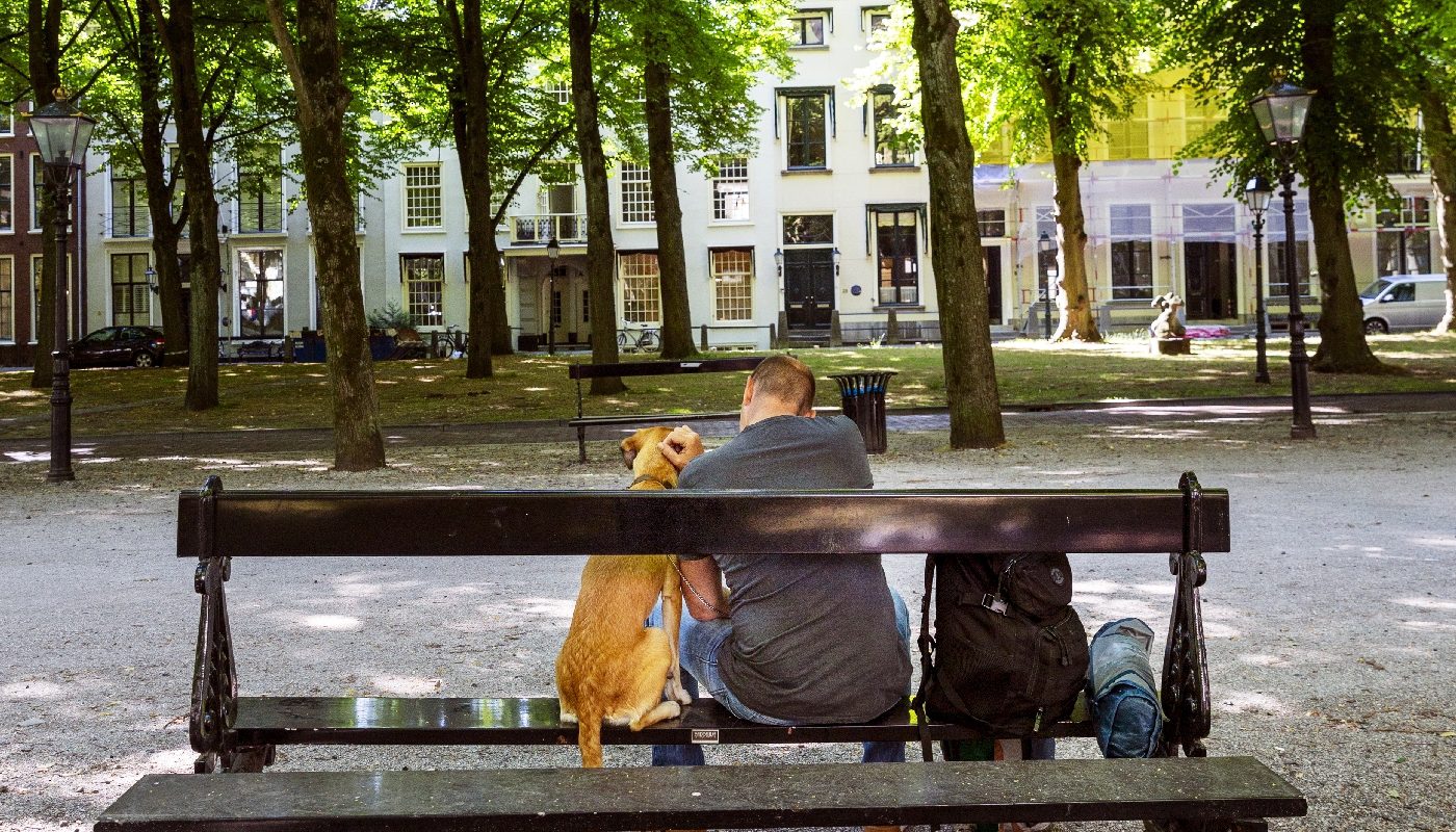 Man op bankje met hond in Den Haag.