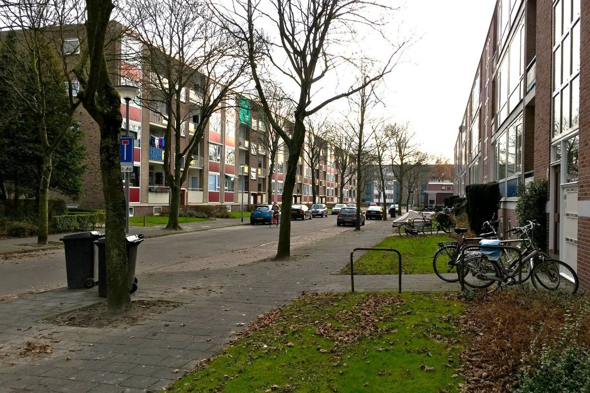 Groningen Selwerd wijk