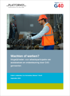 Rapport_Wachten of werken_Platform31